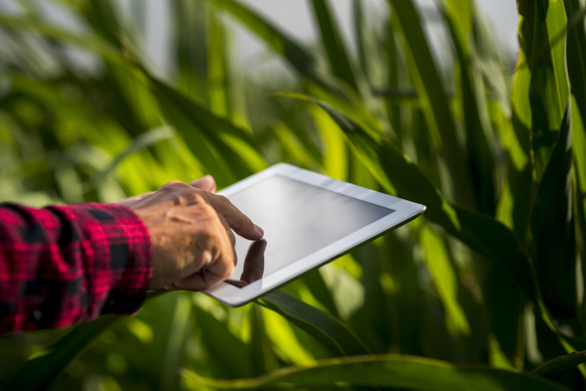 agro contact Fert Organic
