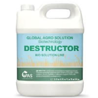 DESTRUCTOR